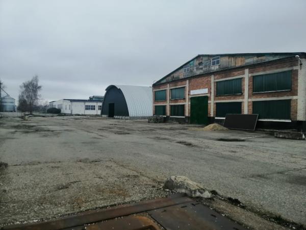 Производственная база – зерновой элеватор — фото 5